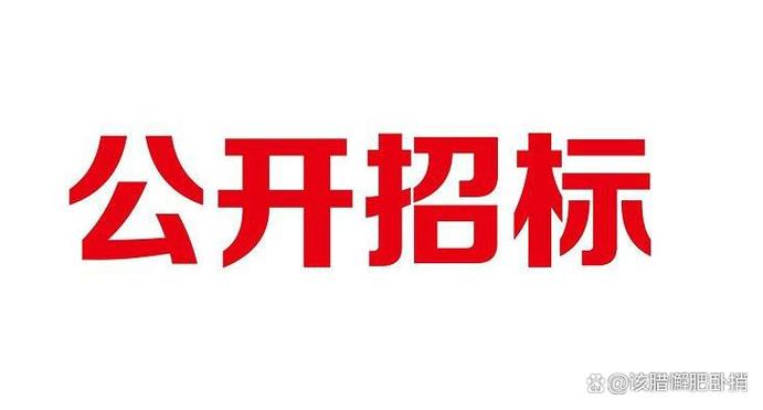 最新开标%2025年度应急通信设备及应急信息系统维保服务竞争性磋商